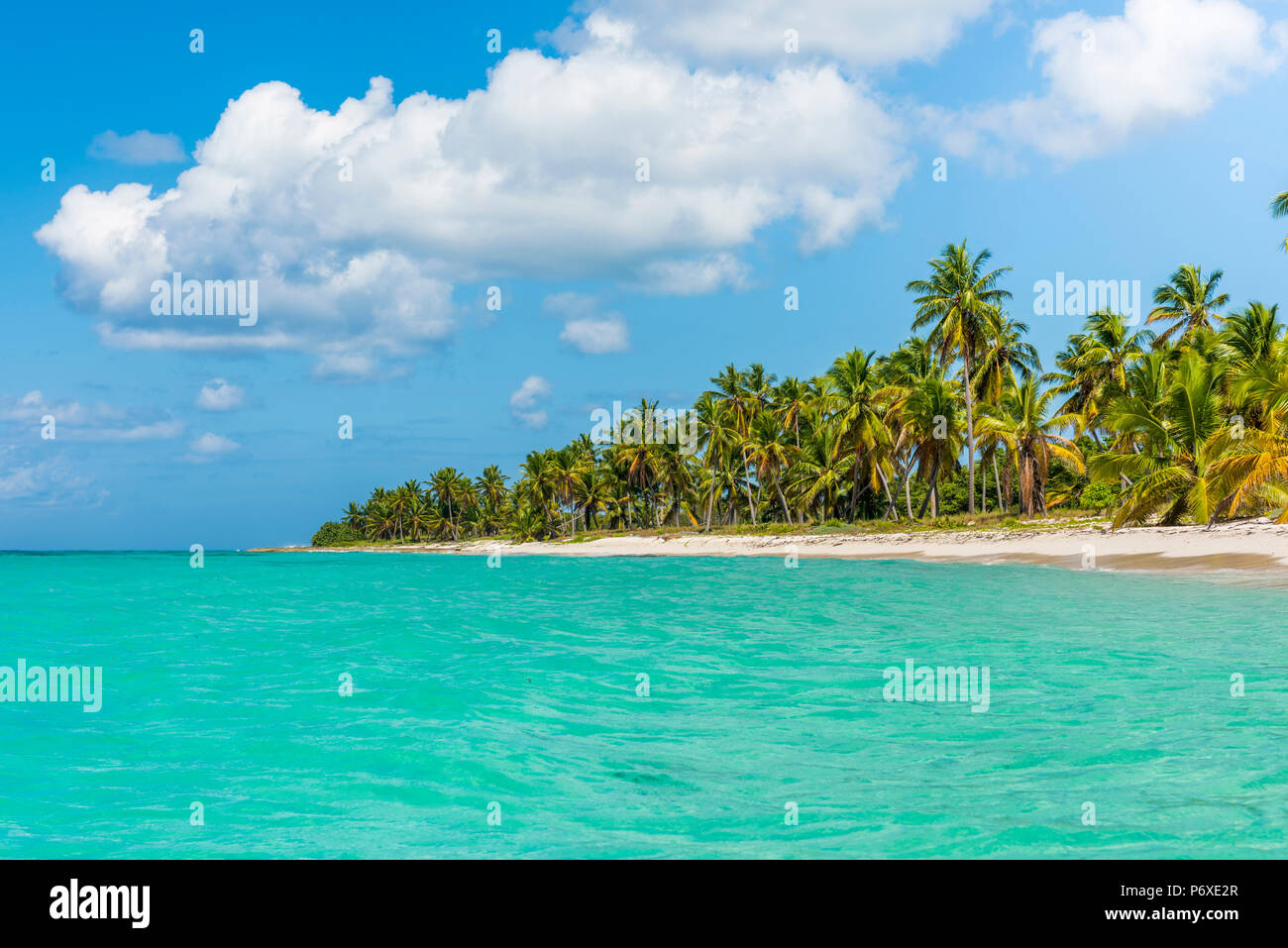 Canto de la Playa, Saona, East National Park (Parque Nacional del Este), Dominikanische Republik, Karibik. Stockfoto