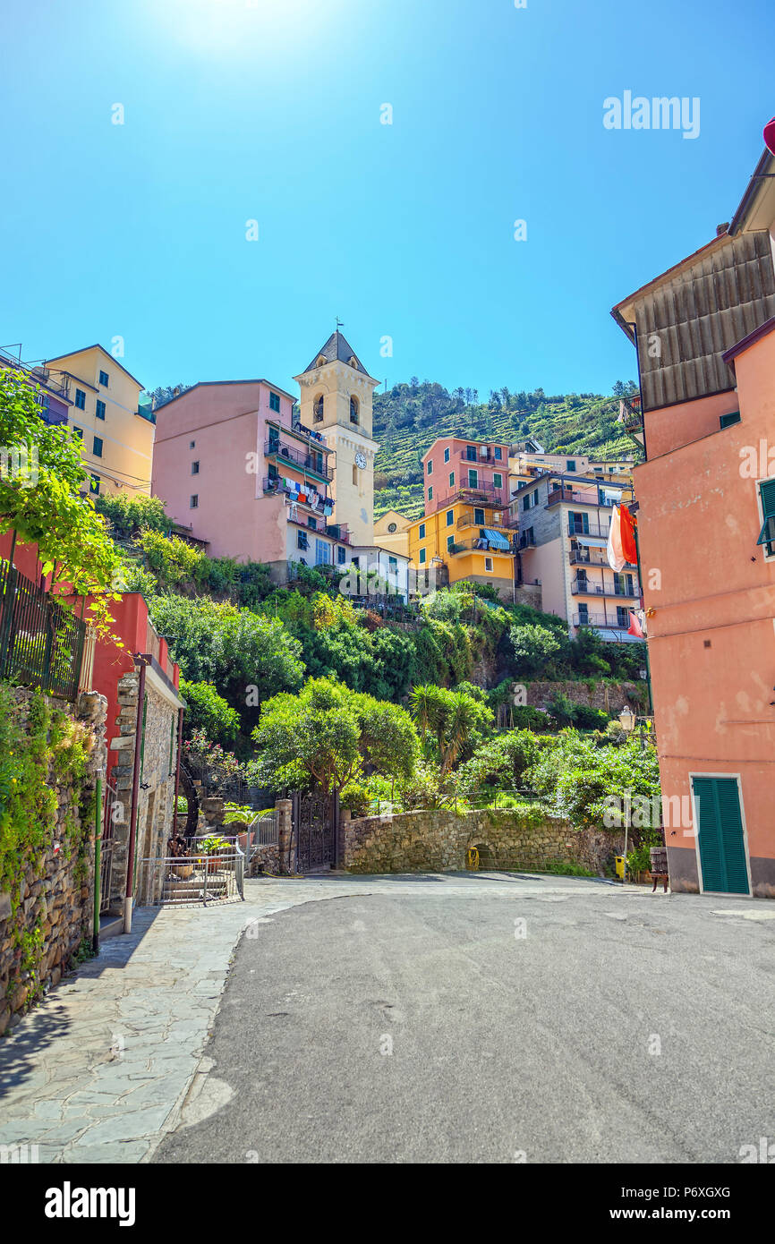 Malerische Straße in Manarola. Cinque Terre in Italien. Stockfoto
