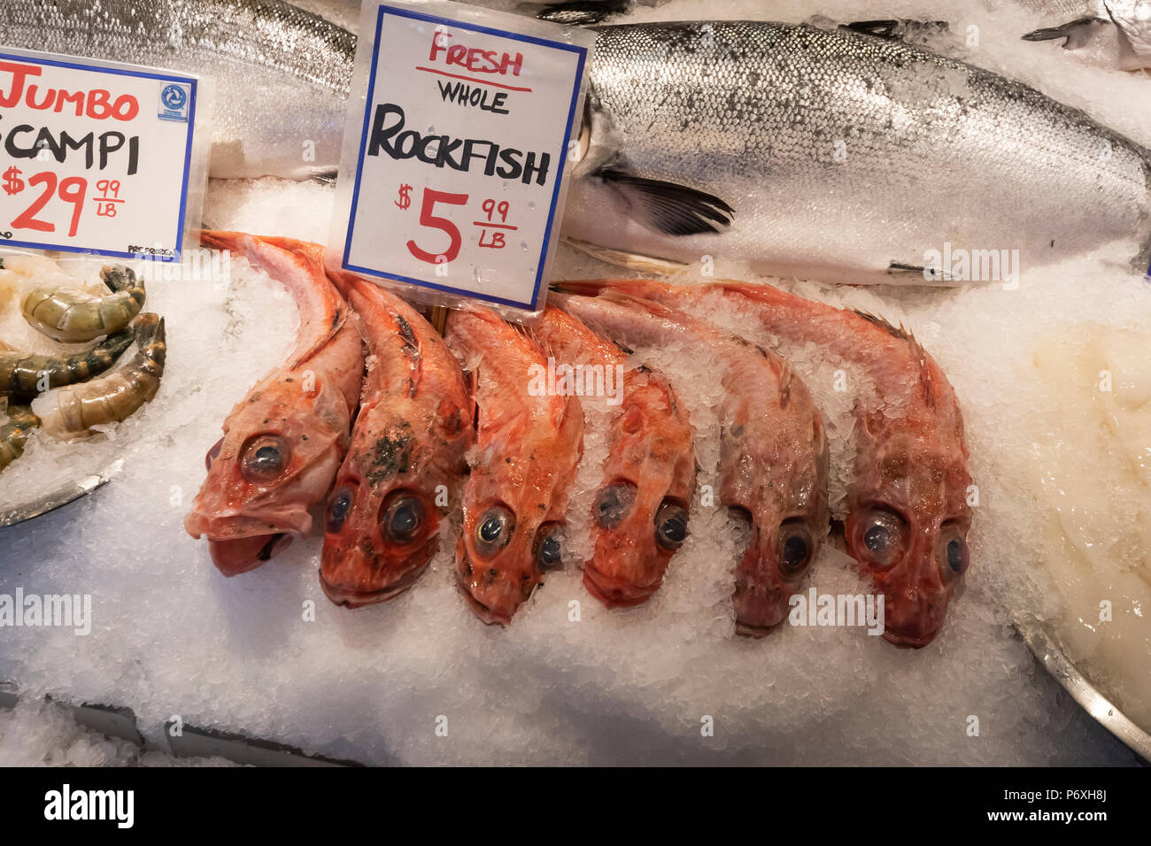 Rockfish auf Eis at Pikes Market in Seattle. Stockfoto