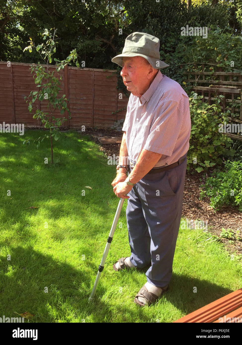 Ältere Mann, der in seinem Garten Stockfoto