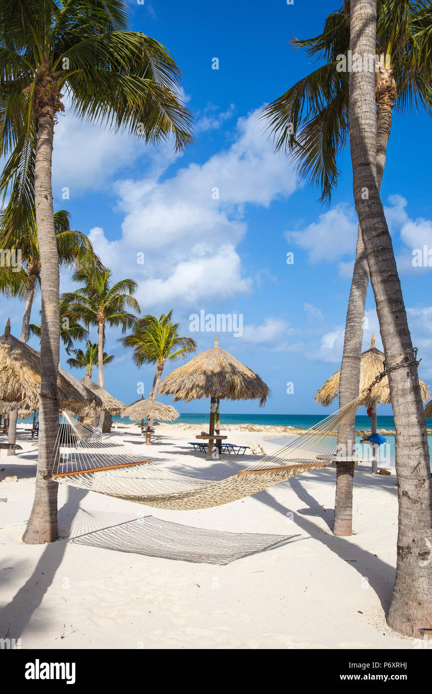 Karibik, Niederländische Antillen, Aruba, Hängematte auf Palm Beach Stockfoto