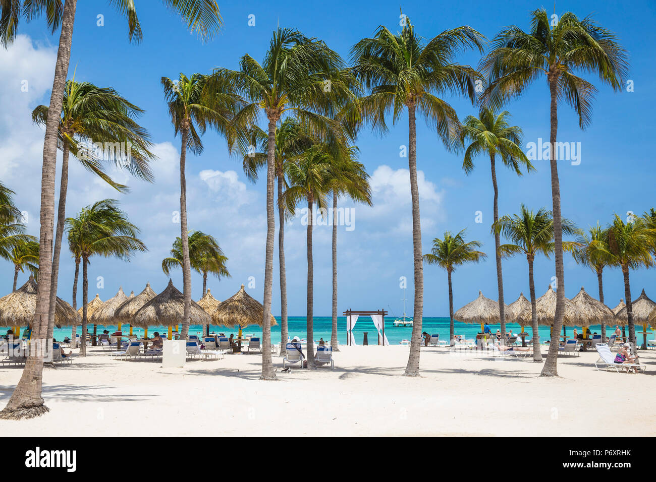 Karibik, Niederländische Antillen, Aruba, Palm Beach Stockfoto