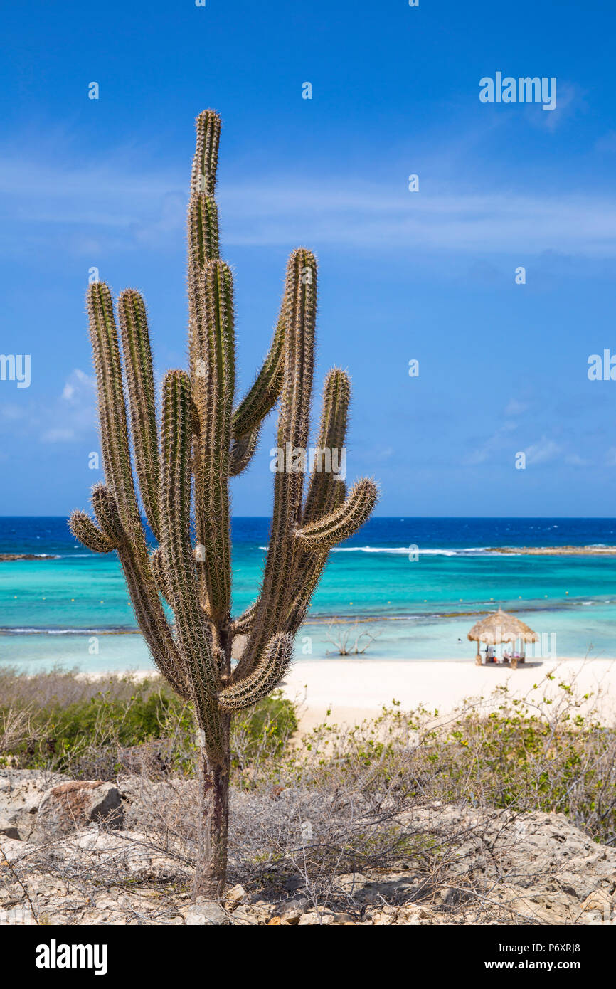 Karibik, Niederländische Antillen, Aruba, Baby Beach Stockfoto