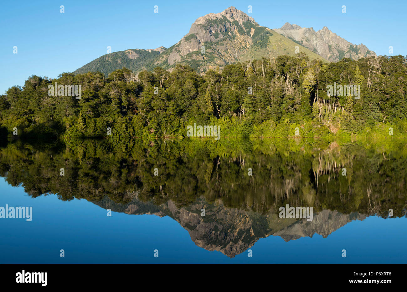 Südamerika, Argentinien, Patagonien, Rio Negro, Nahuel Huapi Nationalpark, Lago Escondido Stockfoto