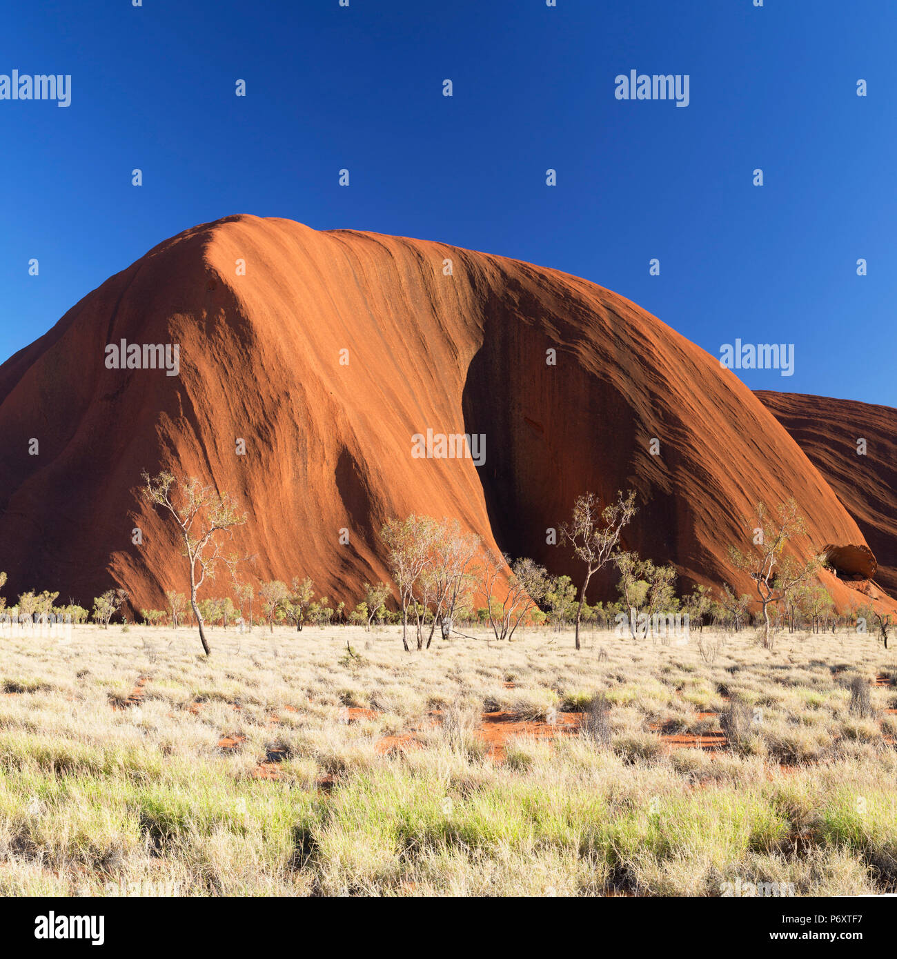 Uluru (UNESCO-Weltkulturerbe), Uluru-Kata Tjuta National Park, Northern Territory, Australien Stockfoto