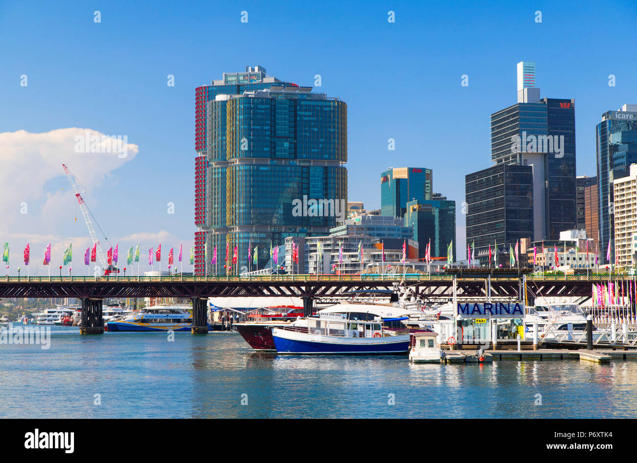 Barangaroo und Darling Harbour, Sydney, New South Wales, Australien Stockfoto