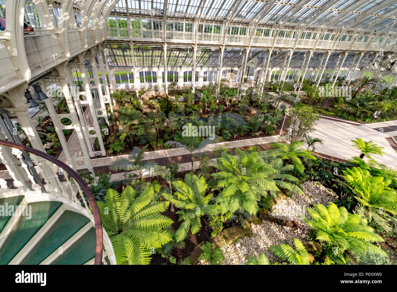 Das kürzlich restaurierte Tempered House in den Royal Botanic Gardens in Kew , Kew Gardens, London, Großbritannien Stockfoto