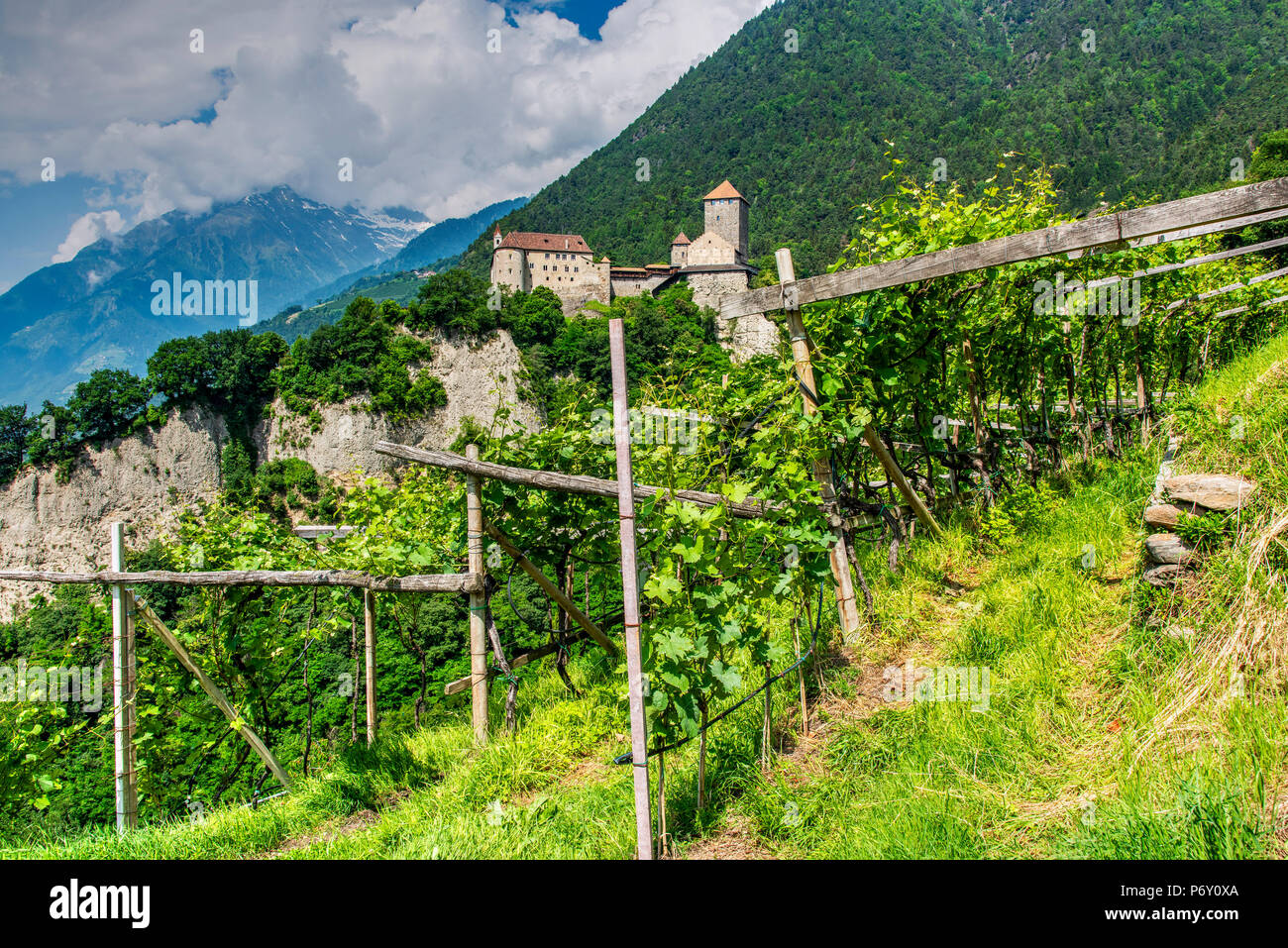 Schloss Tirol oder Castel Dorf Tirol Dorf Tirol - Tirol, Trentino Alto Adige - Südtirol, Italien Stockfoto