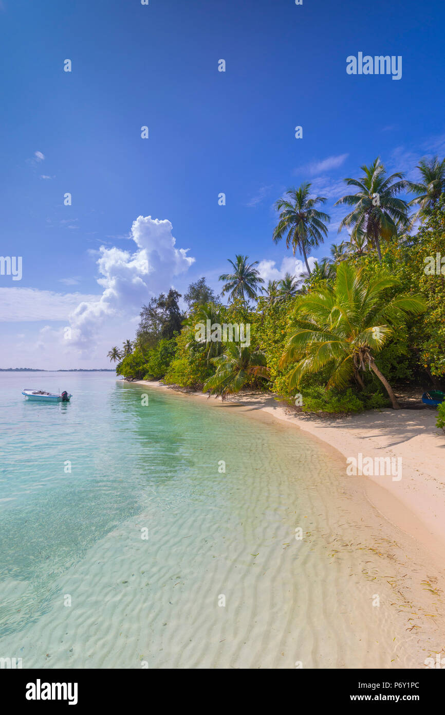 Strand auf einer tropischen Insel im Süd Male Atoll, Malediven Stockfoto