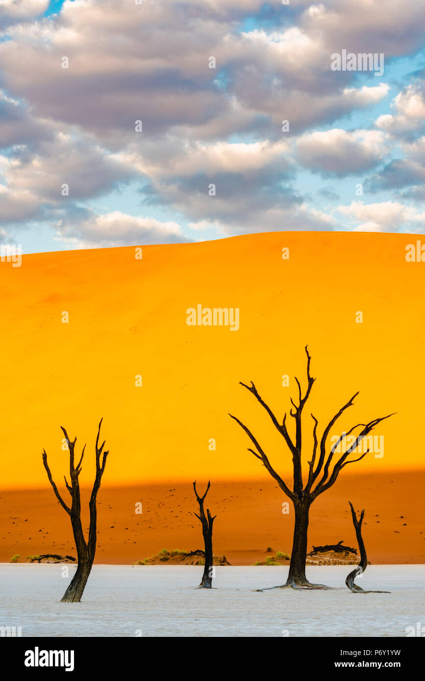 Deadvlei clay Pan, Namib-Naukluft-Nationalpark, Namibia, Afrika. Tot Akazien und Sanddünen. Stockfoto