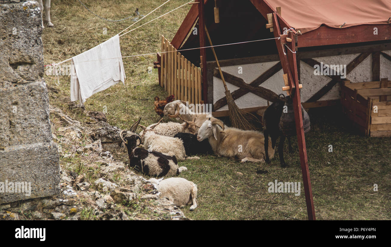 Tiere auf dem Bauernhof des Schlosses in Frankreich Stockfoto