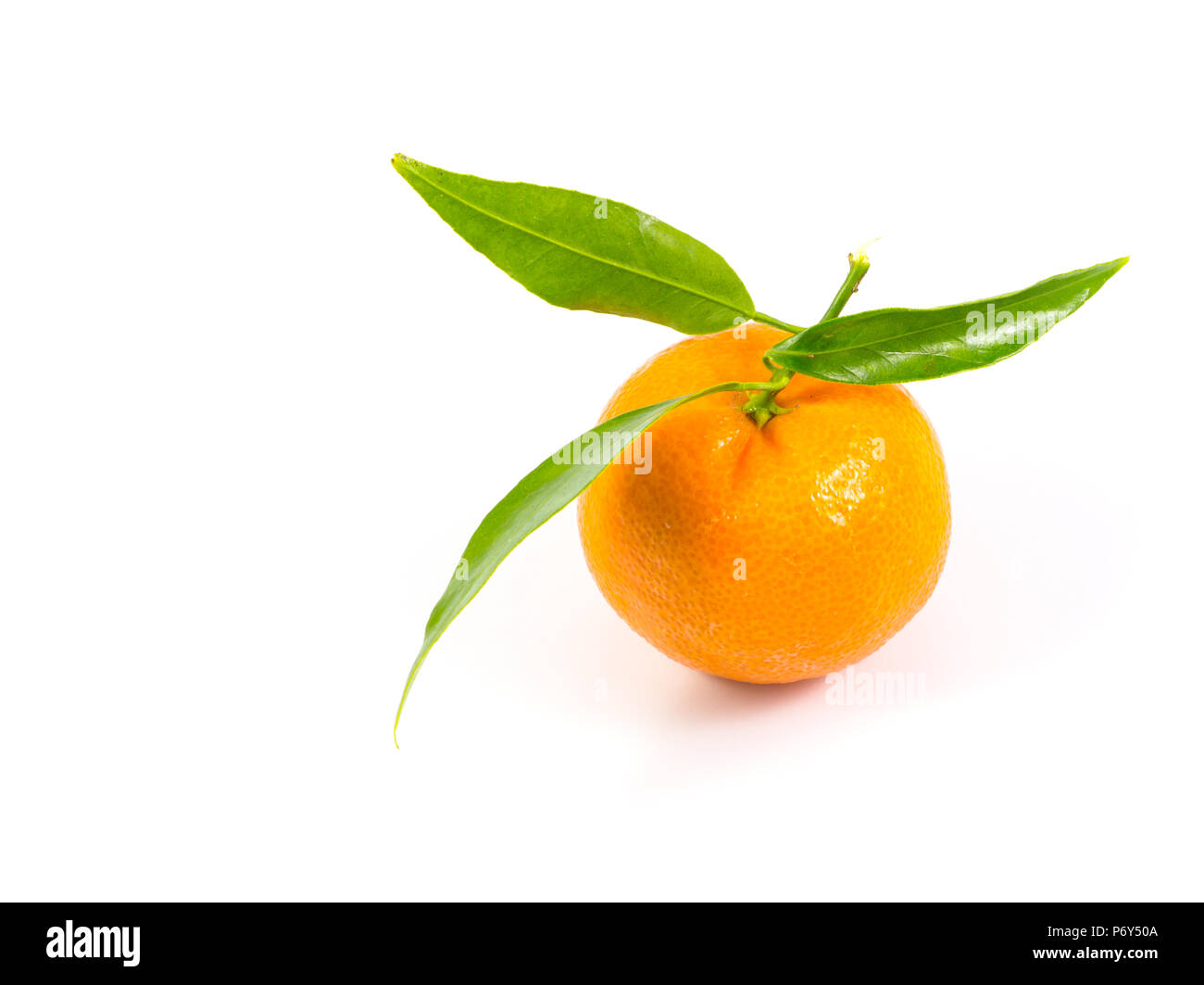 Frische orange Frucht mit Blatt in weißen Hintergrund. Stockfoto