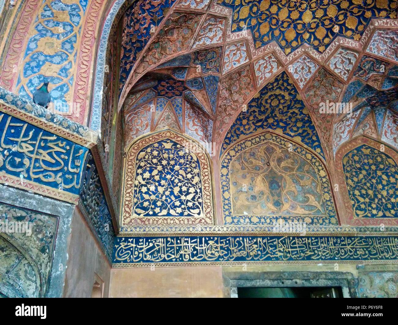 Einen getarnten Taube herab auf uns in Akbars Mausoleum, Indien Stockfoto