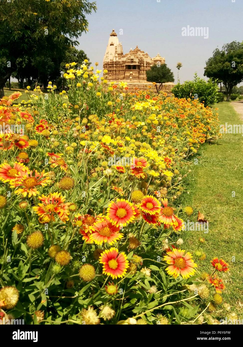 Blumengarten mit Tempel im Hintergrund in Indien Stockfoto