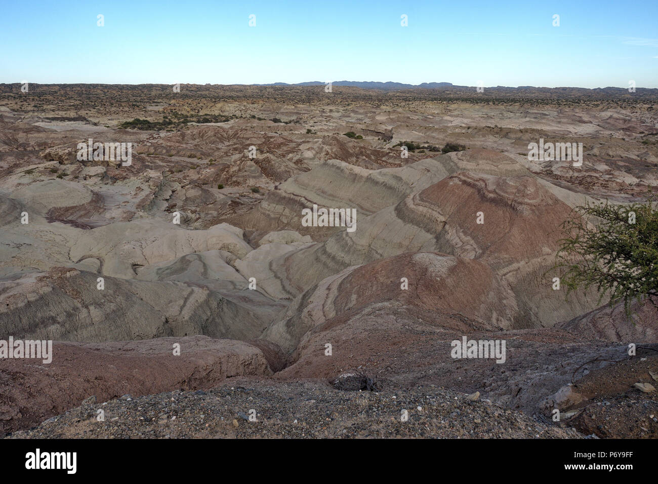 Ischigualasto Provincial Park, San Juan, Argentinien Stockfoto