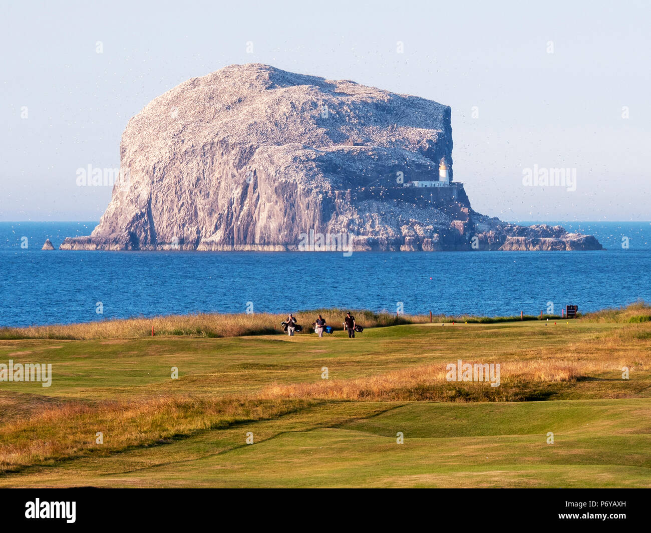 Der Bass Rock von Glen Golf Course, North Berwick, East Lothian, Schottland, Vereinigtes Königreich Stockfoto