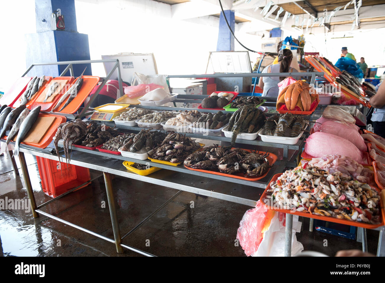 Verkauf von Muscheln, Muscheln, Garnelen, Tintenfisch und anderen frischen Meeresfrüchten auf Tabletts in verschiedenen Farben Stockfoto