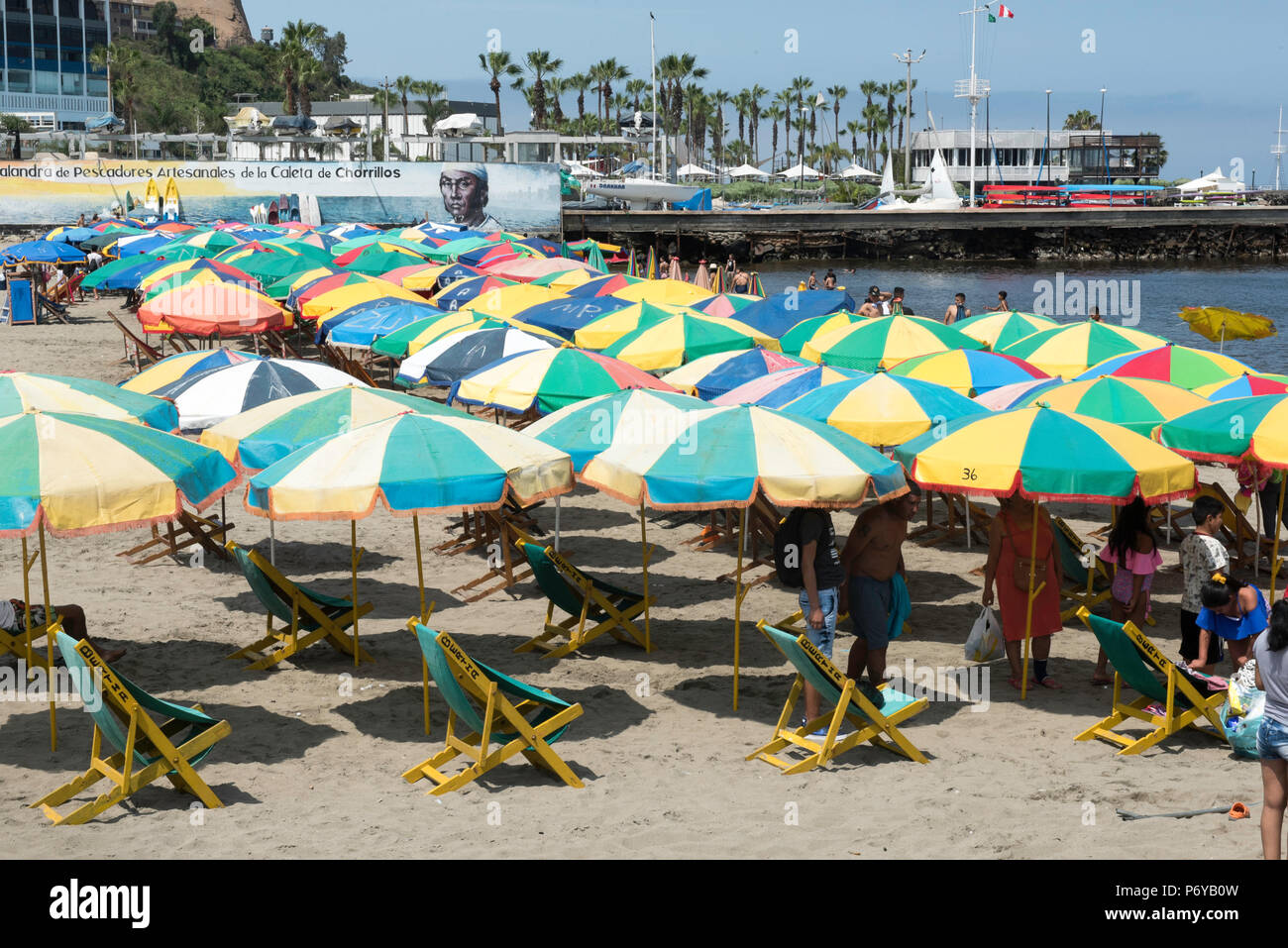 Viele grüne Sonnenschirme an der sandigen Küste, mit Hintergrund einer Pier und den Ozean. Stockfoto