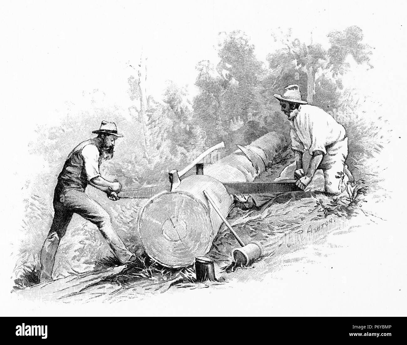 Gravur der Holzfäller bei der Arbeit in Australien. Von der malerischen Atlas von Australasien Vol. 2, 1886 Stockfoto