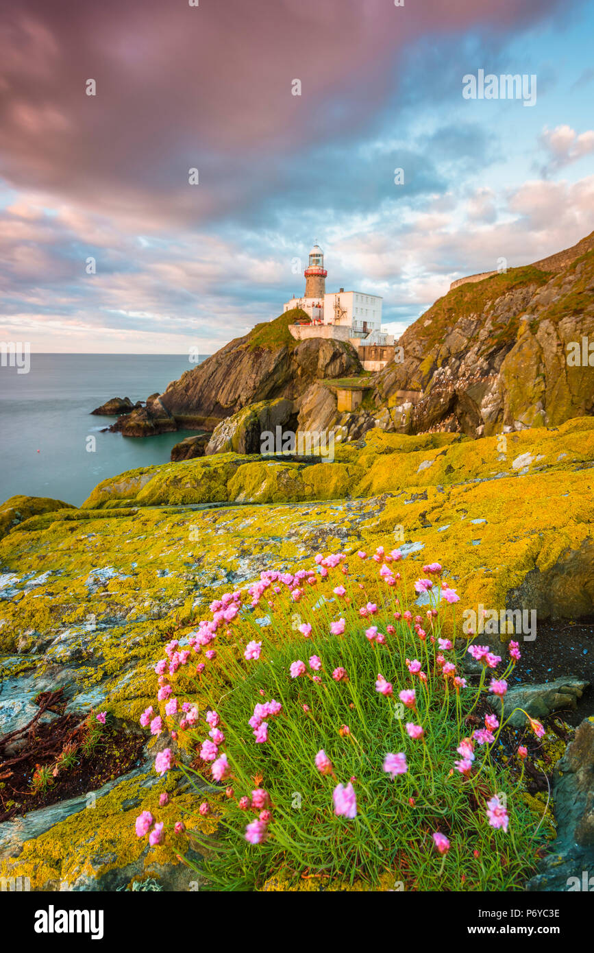 Baily Lighthouse, Howth, County Dublin, Irland, Europa. Stockfoto