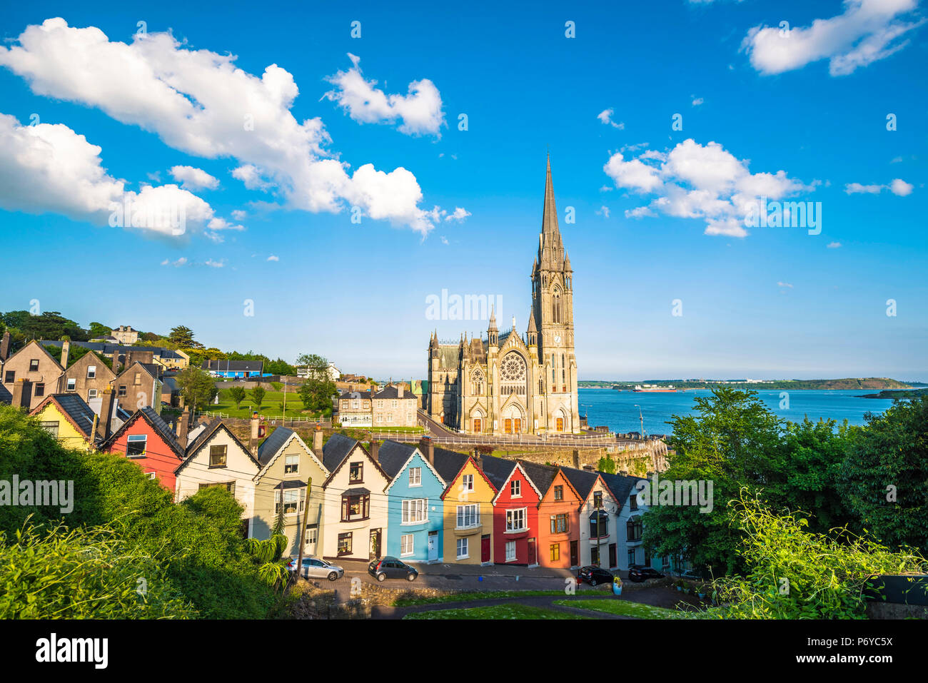 Cobh, County Cork in der Provinz Munster, Irland, Europa. Farbige Häuser vor der Kathedrale St. Colman's. Stockfoto