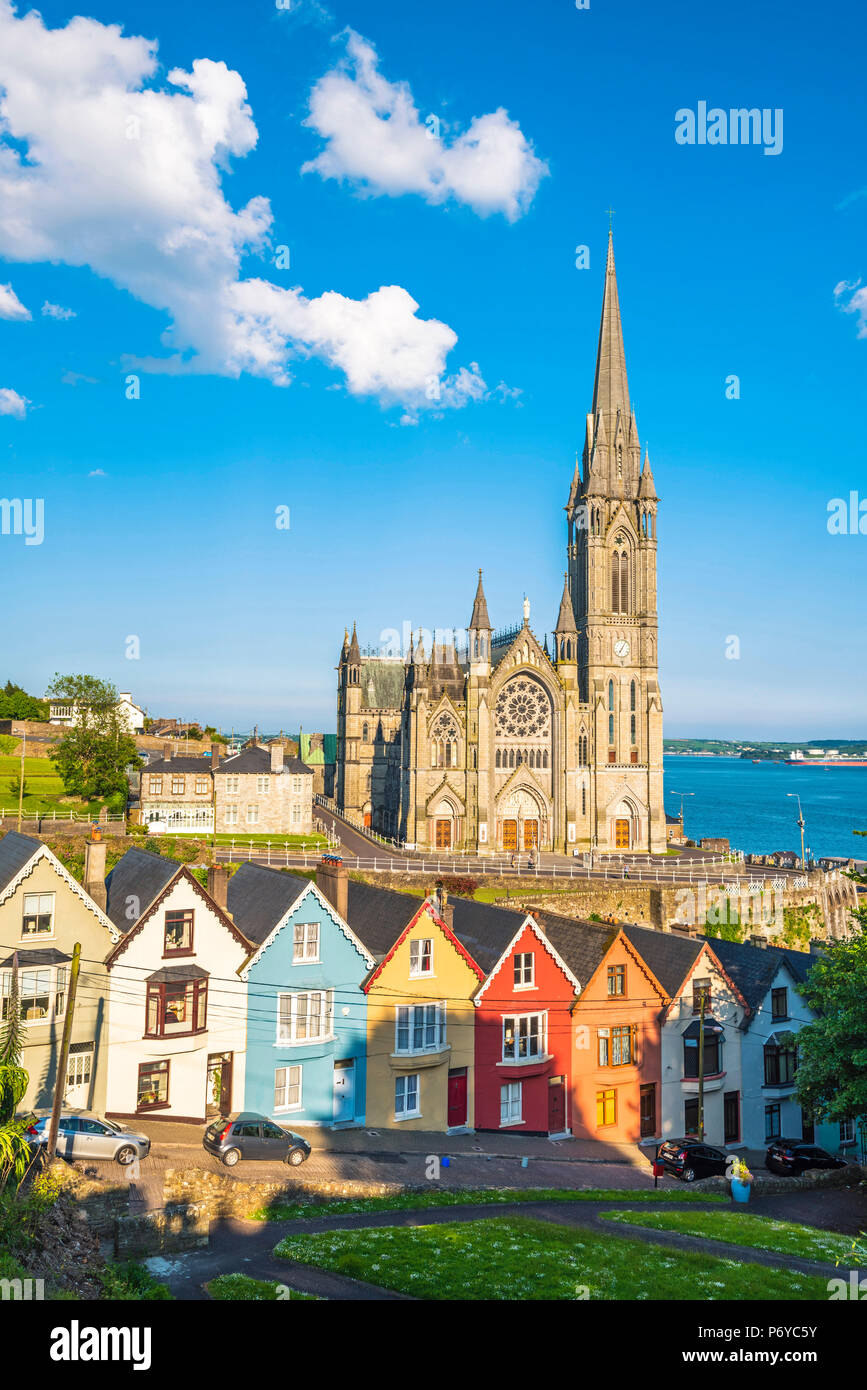 Cobh, County Cork in der Provinz Munster, Irland, Europa. Farbige Häuser vor der Kathedrale St. Colman's. Stockfoto