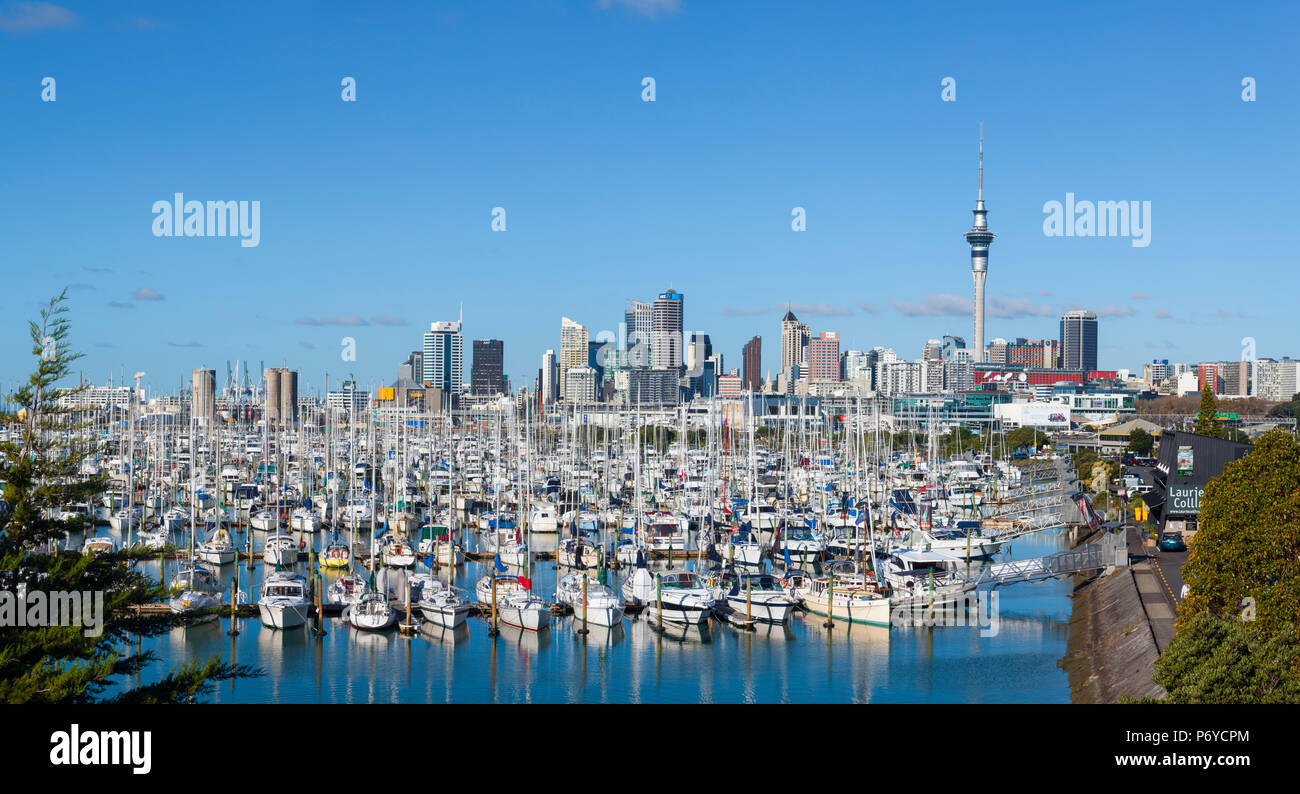 Westhaven Marina & City Skyline, Auckland, Northland, North Island, Neuseeland, Australien Stockfoto