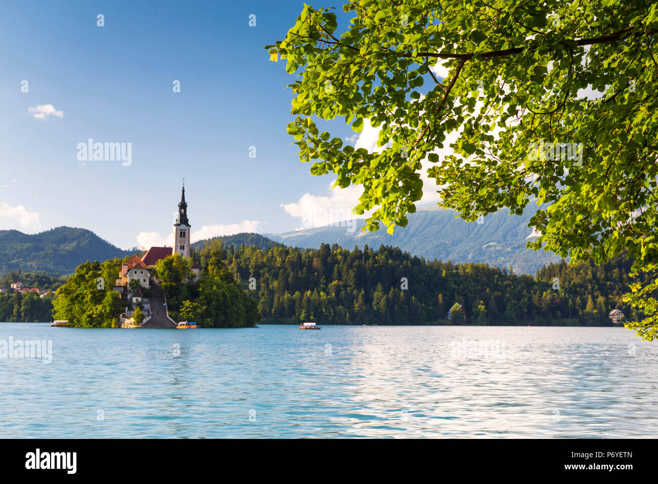 Slowenien, Obere Krain, Bled. Die Kirche Mariä Himmelfahrt auf den Bleder See. Stockfoto