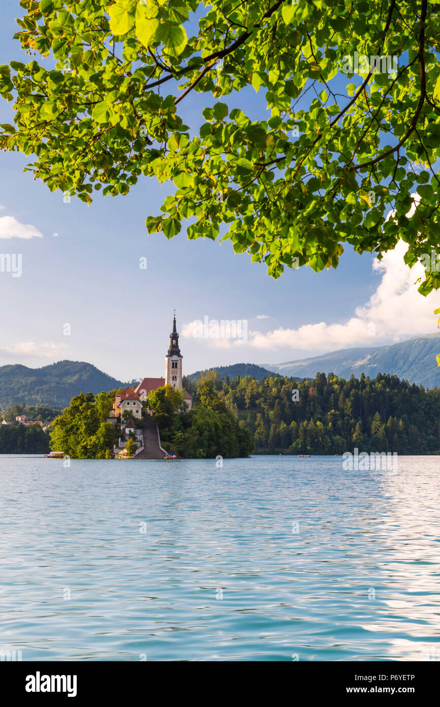 Slowenien, Obere Krain, Bled. Die Kirche Mariä Himmelfahrt auf den Bleder See. Stockfoto