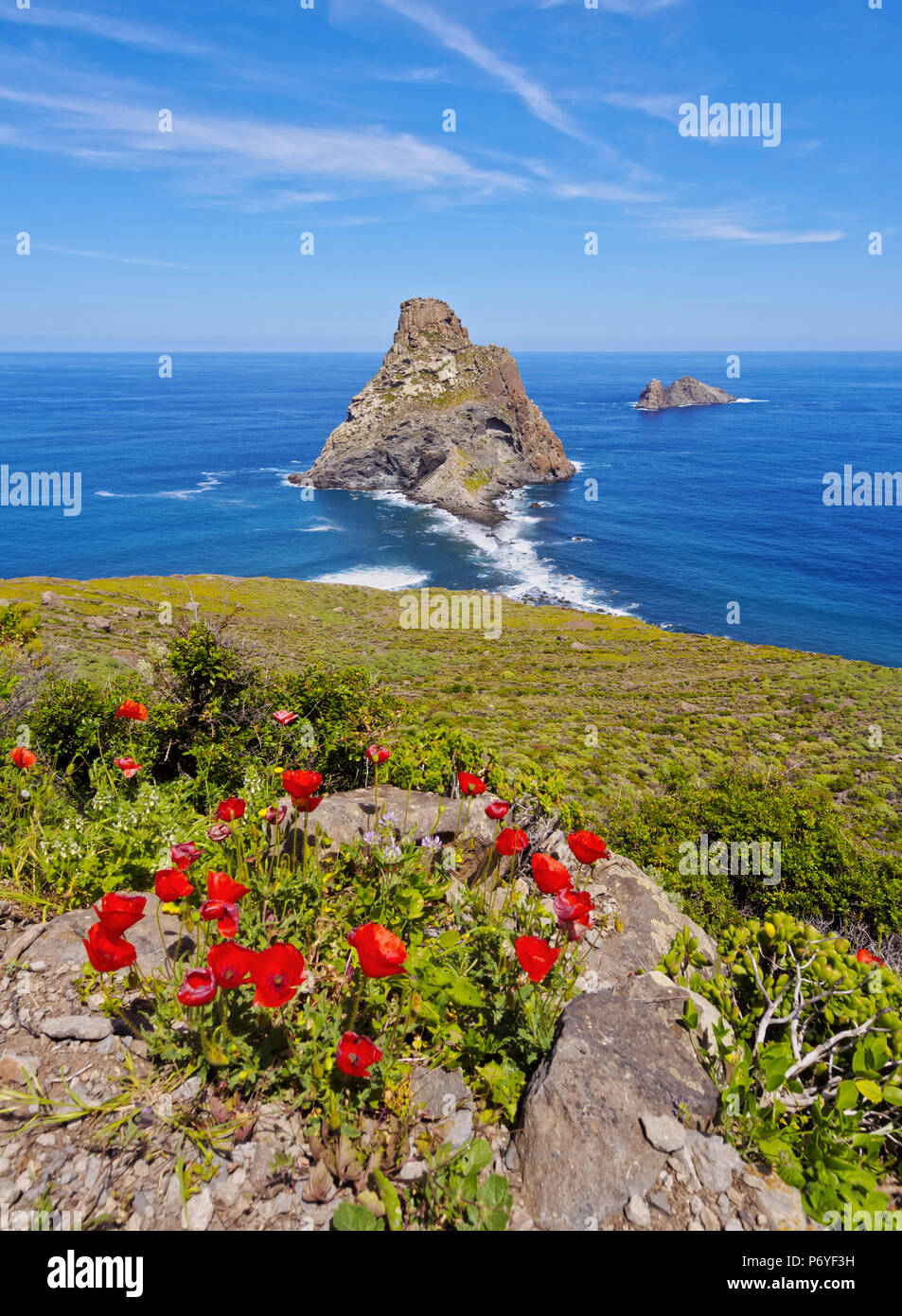 Spanien, Kanarische Inseln, Teneriffa, Blick auf die Roques de Anaga. Stockfoto