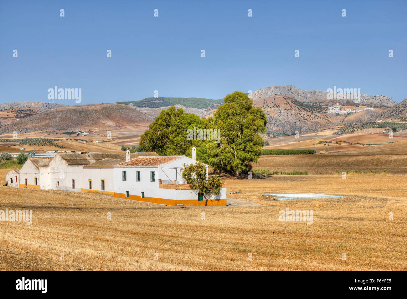 Bauernhof in der Nähe von Zalea, Andalusien, Spanien Stockfoto