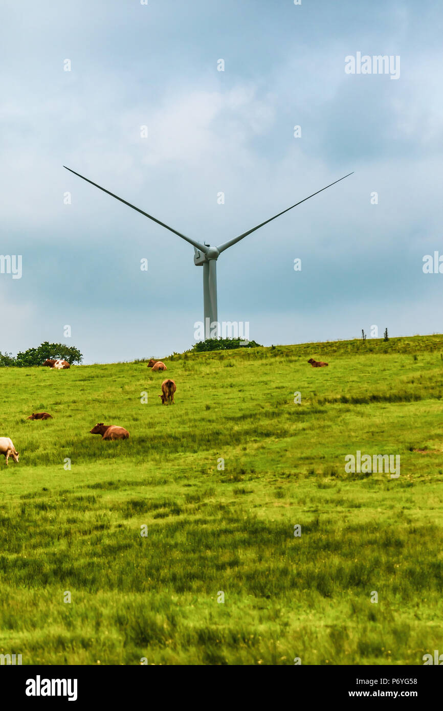 Windenergieanlagen auf den Nationalpark Dartmoor, Devon, Vereinigtes Königreich Stockfoto