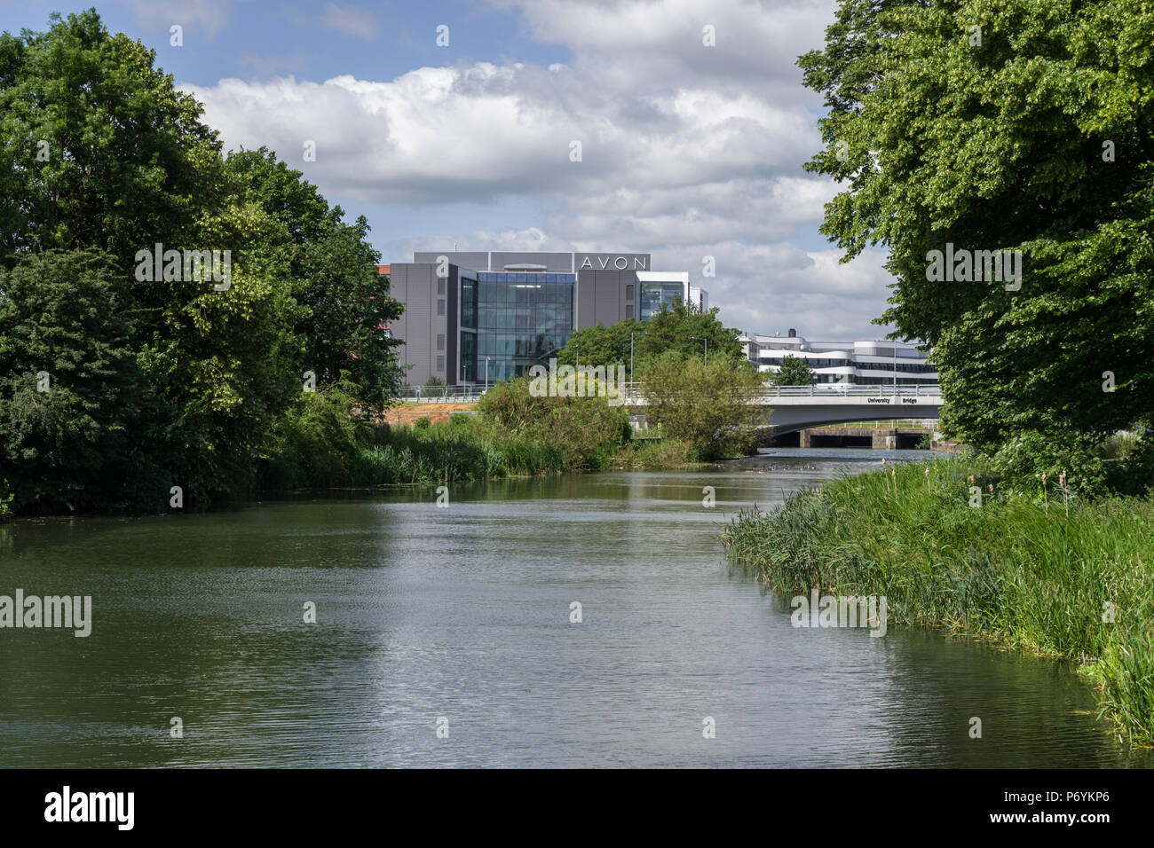 Der Fluss Nene durch Hochsommer Wiese, Northampton, Großbritannien fließen; mit der Zentrale der Avon Kosmetik und der Wasserseite Campus in der Ferne. Stockfoto