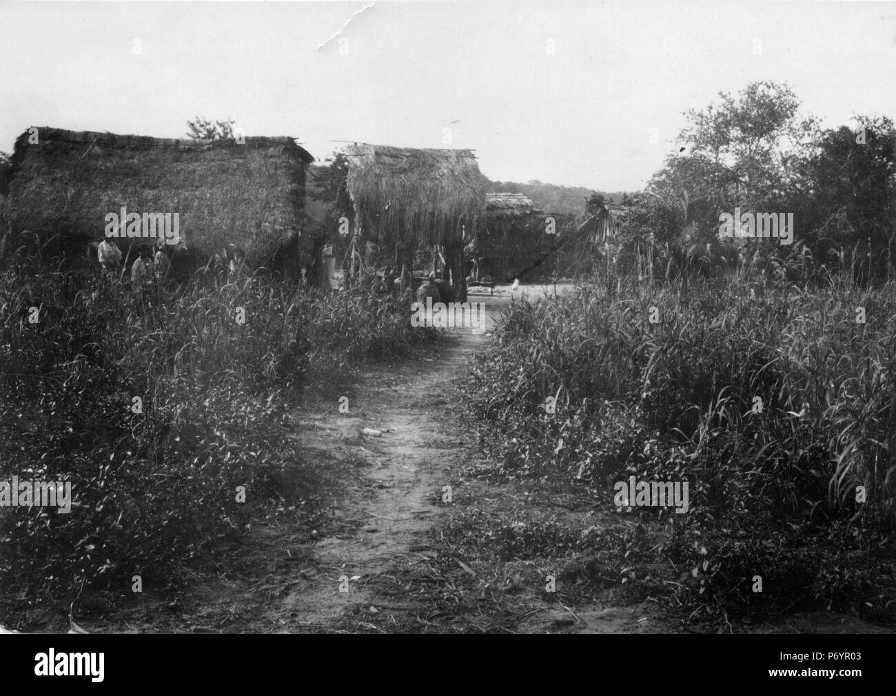 176 Parti av chanéby. Lokale, Rio Itiyuro, v. Argentinien. Stam, Chané. Rio - Itiyuru SMVK - 004982 Stockfoto
