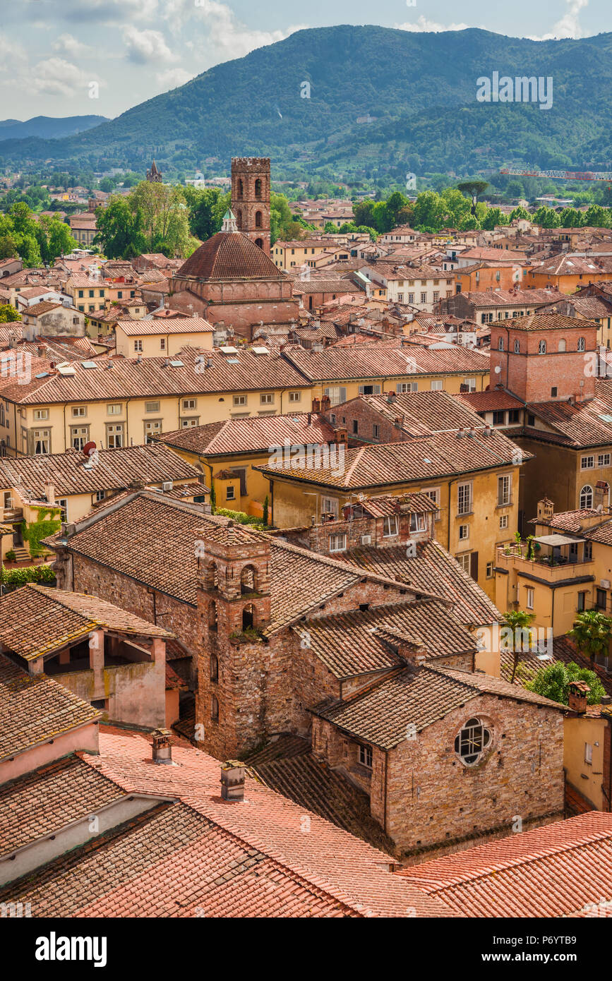Panorama der mittelalterlichen Zentrum von Lucca mit alten Türme, Kirchen und Dächer Stockfoto