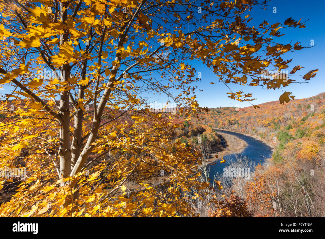USA, Pennsylvania Pocono Mountains, Port Jervis, Erhöhte Ansicht des Delaware River, Herbst Stockfoto