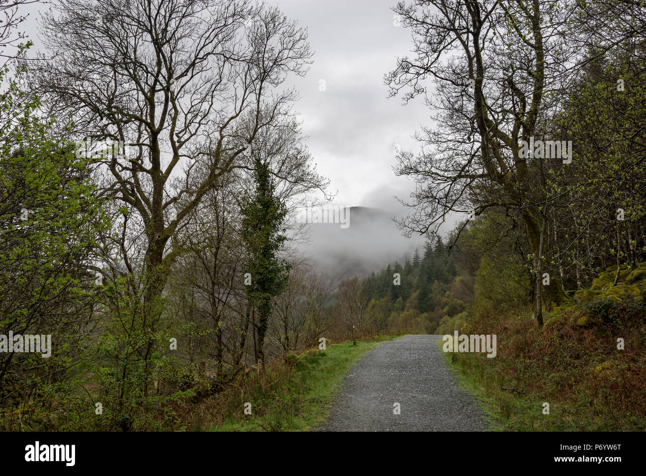 An einem regnerischen Frühlingstag in den Hügeln um Llyn Crafnant, Trefriw, North Wales, UK. Stockfoto