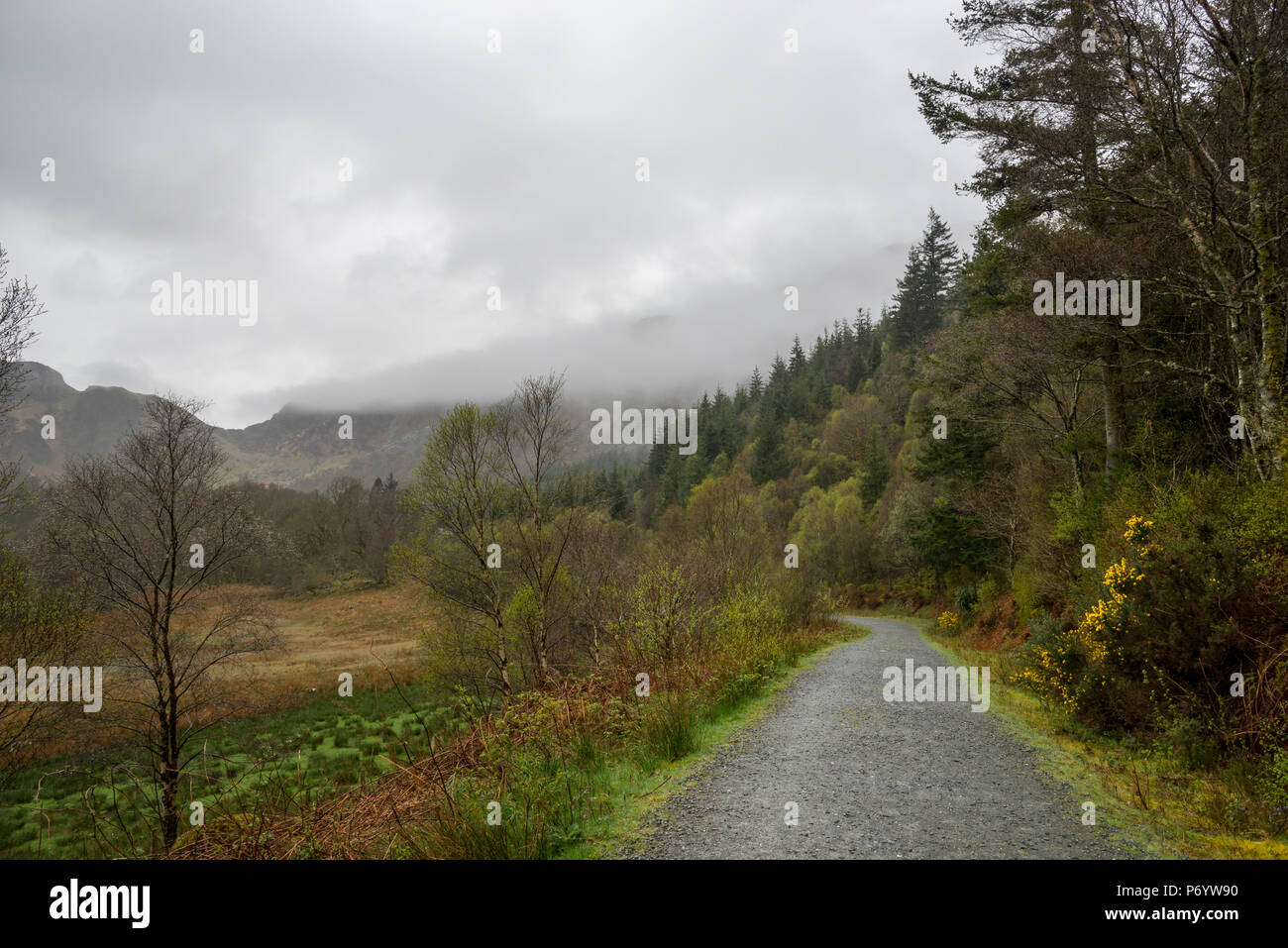 An einem regnerischen Frühlingstag in den Hügeln um Llyn Crafnant, Trefriw, North Wales, UK. Stockfoto