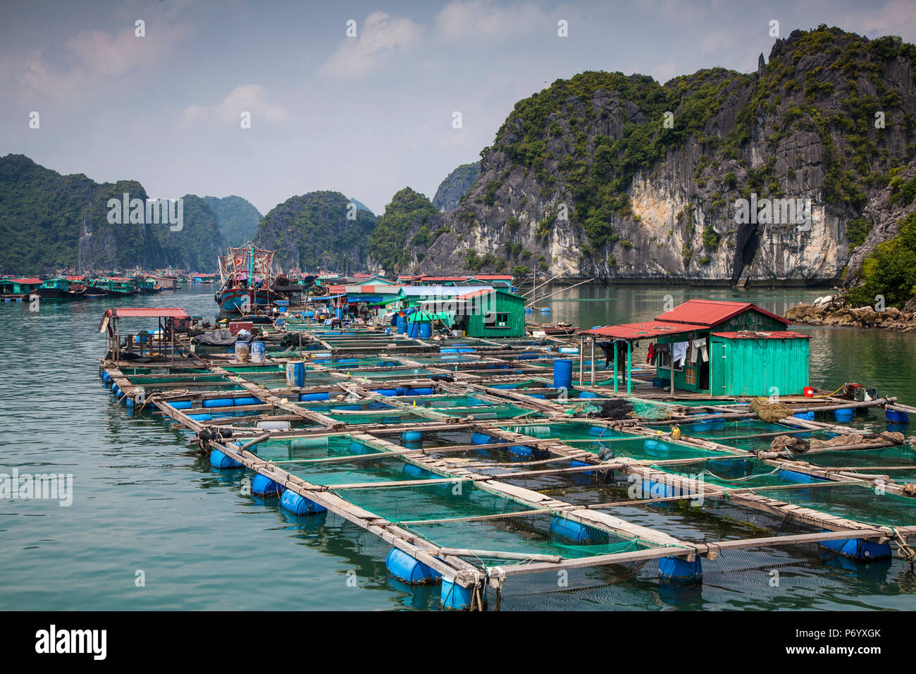 Schwimmende Fischfarm aus Insel Cat Ba, Halong Bay, Vietnam Stockfoto