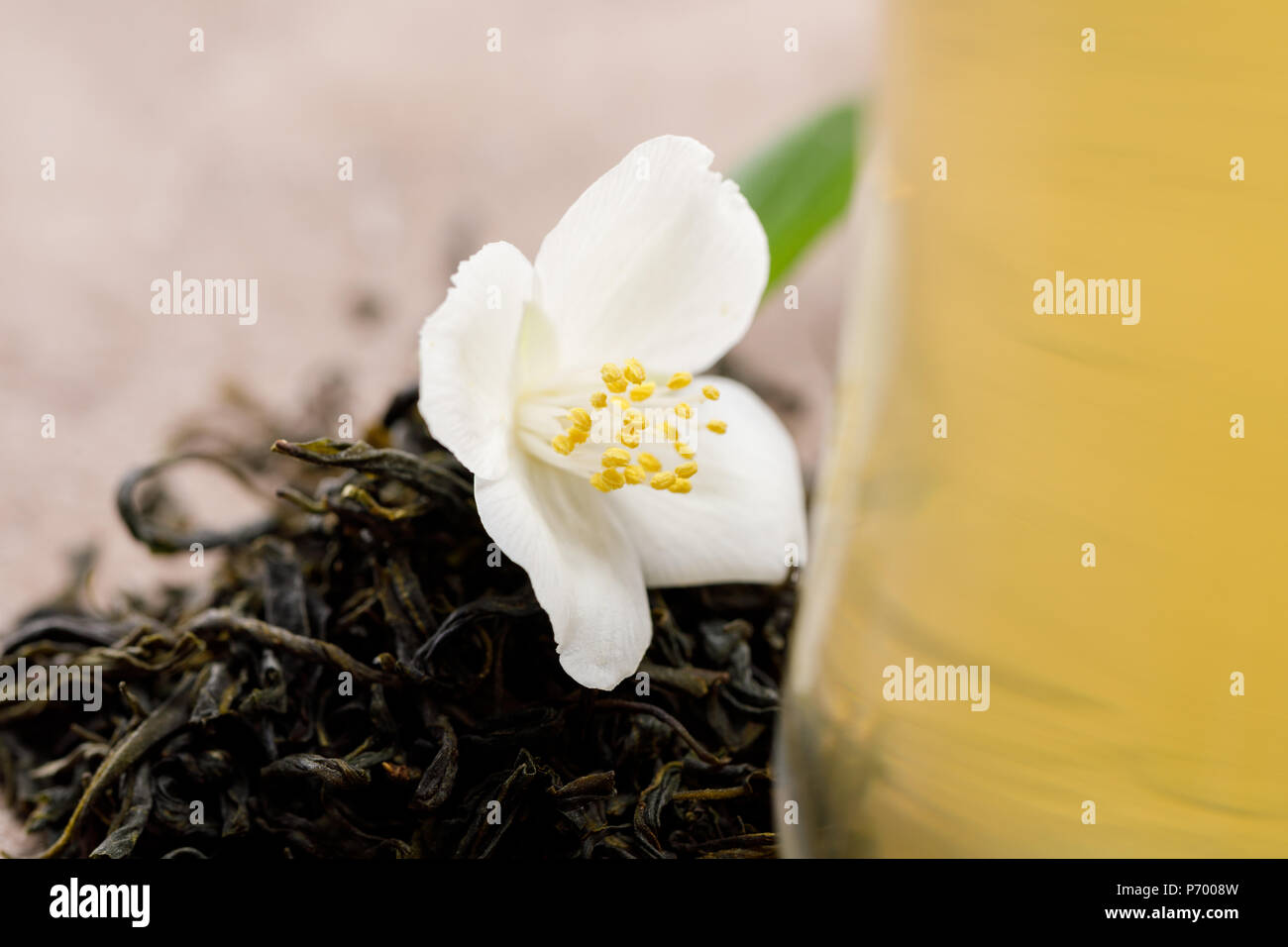 Eine Blume von Jasmin und getrockneten Blättern des Grünen Tees. Close-up. Stockfoto