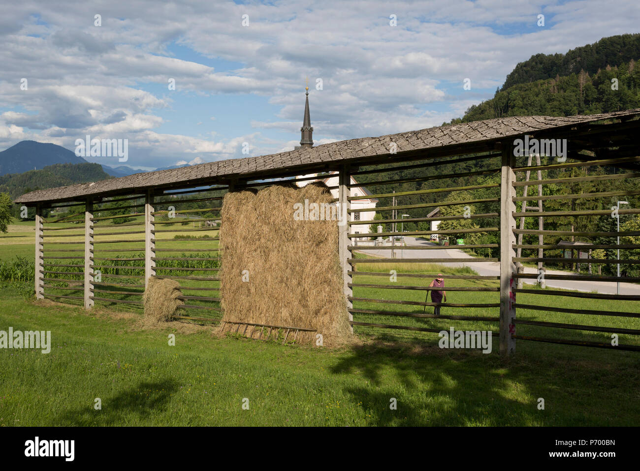 Eine traditionelle slowenische Trocknen frame Raufe kozolec genannt, am 18. Juni 2018, in Bohinjska Bela, Bled, Slowenien. Stockfoto