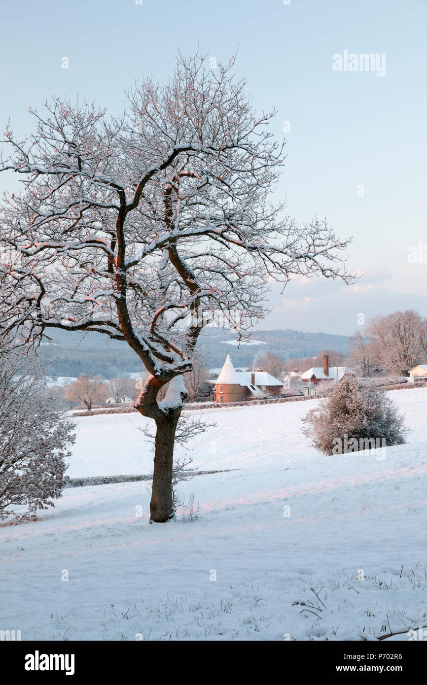 Ehemalige Oast House im Schnee High Weald Landschaft mit nackten Baum, Burwash, East Sussex, England, Vereinigtes Königreich, Europa Stockfoto