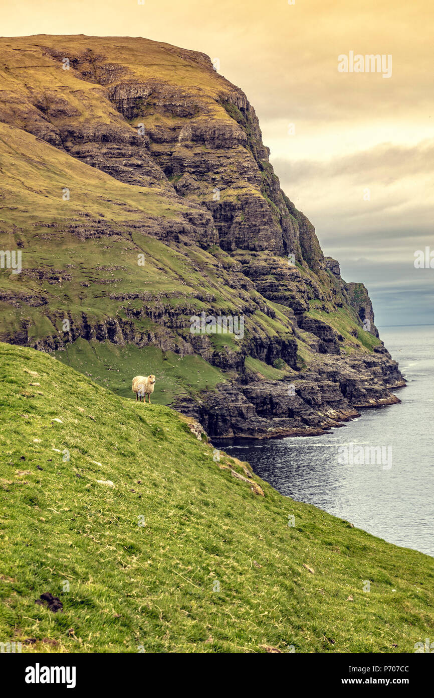 Cliff View in Färöer Inseln Stockfoto