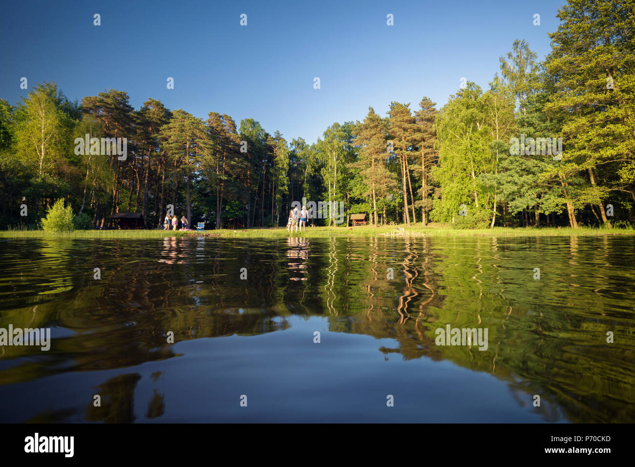 Sommer See widerspiegeln Grüner Baum Zweige am sonnigen Tag in Osteuropa Stockfoto