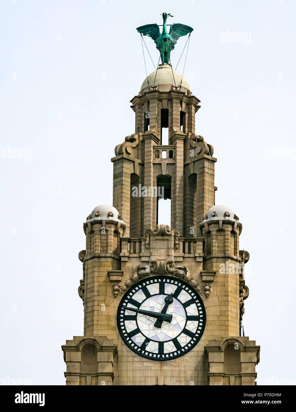 Nahaufnahme der Uhrtürme des Royal Lebergebäudes mit Cormorant Lever Bird und der größten Uhr Großbritanniens, Pier Head, Liverpool, England, Großbritannien Stockfoto