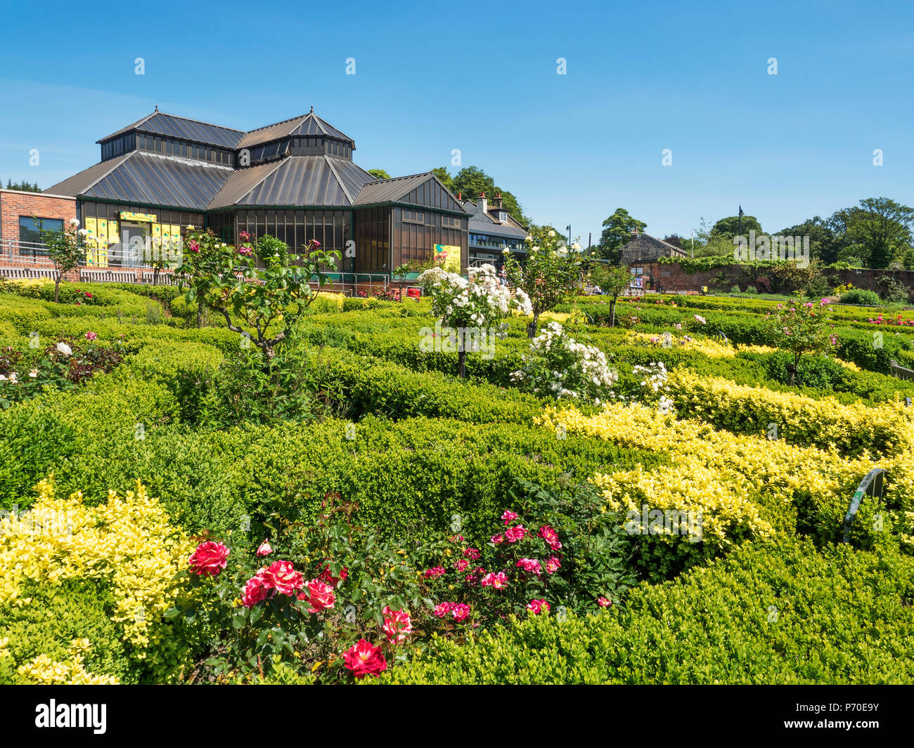 Tropische Welt und Rosengarten bei Roundhay Park Roundhay Leeds West Yorkshire England Stockfoto