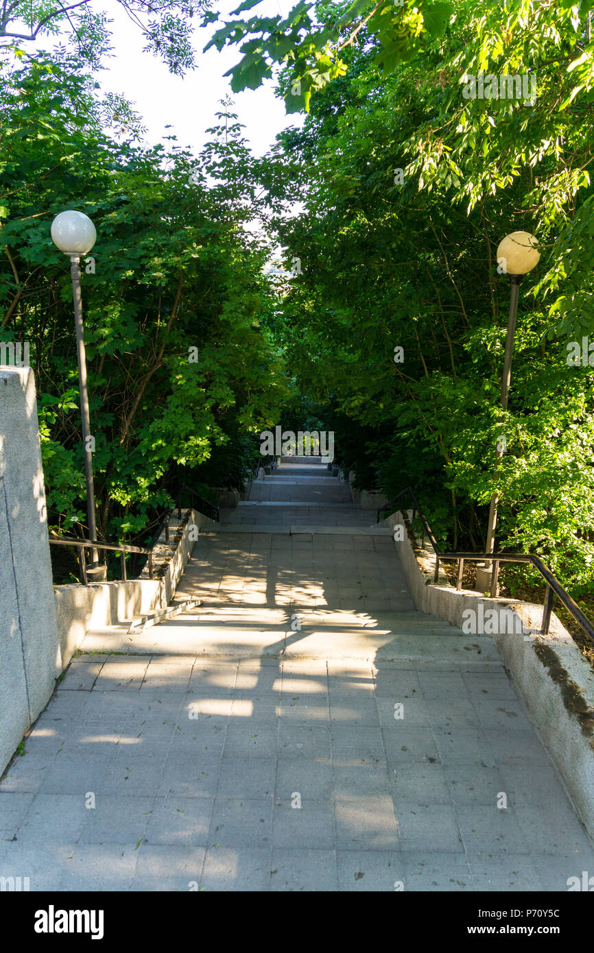 Treppen durch die grünen Tunnel der Bäume in der Stadt Stockfoto