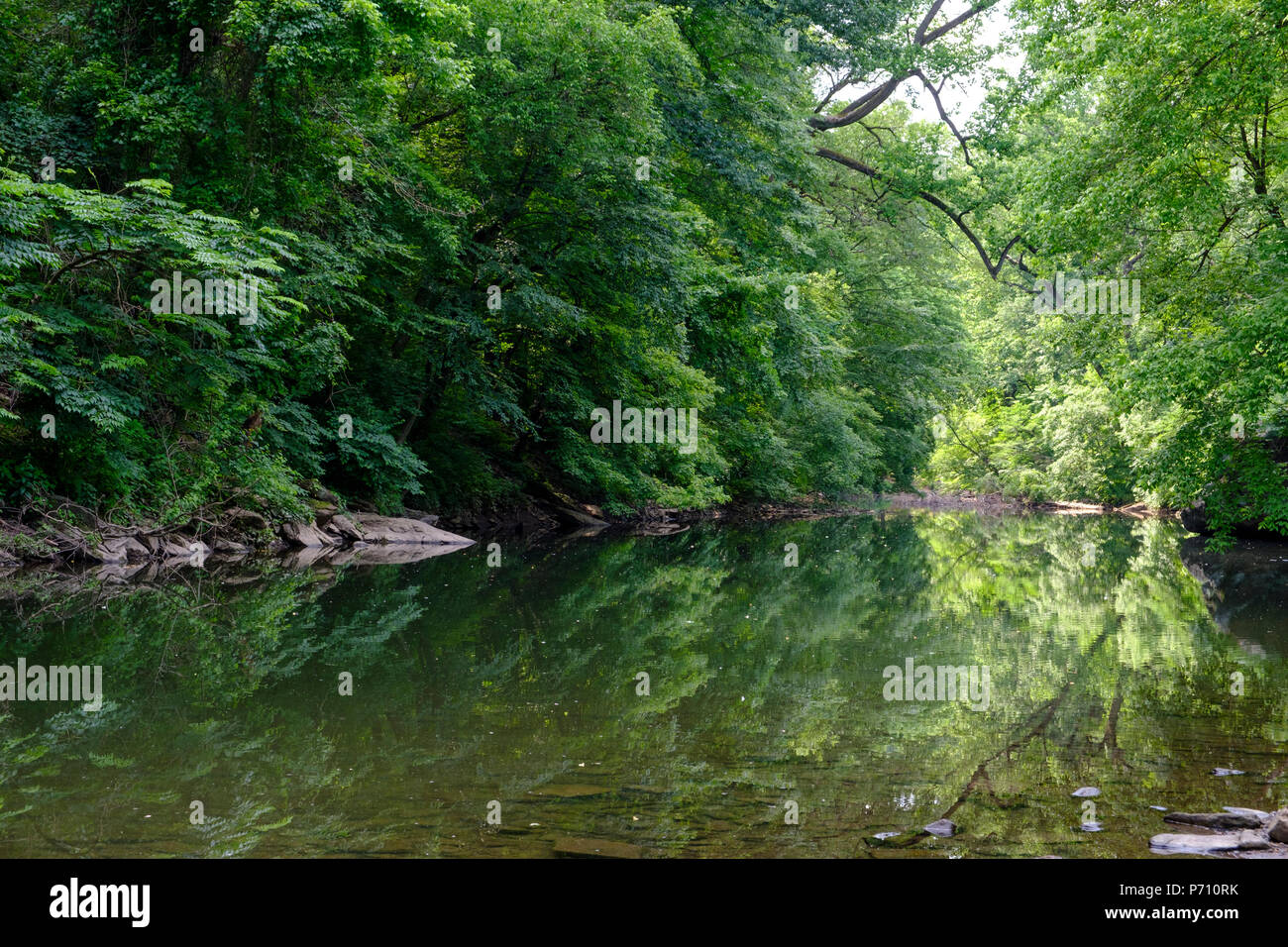 Wissahickon creek Im 1.800 Hektar großen wissahickon Valley Park, nordwestlich von Philadelphia, Pennsylvania, USA Stockfoto