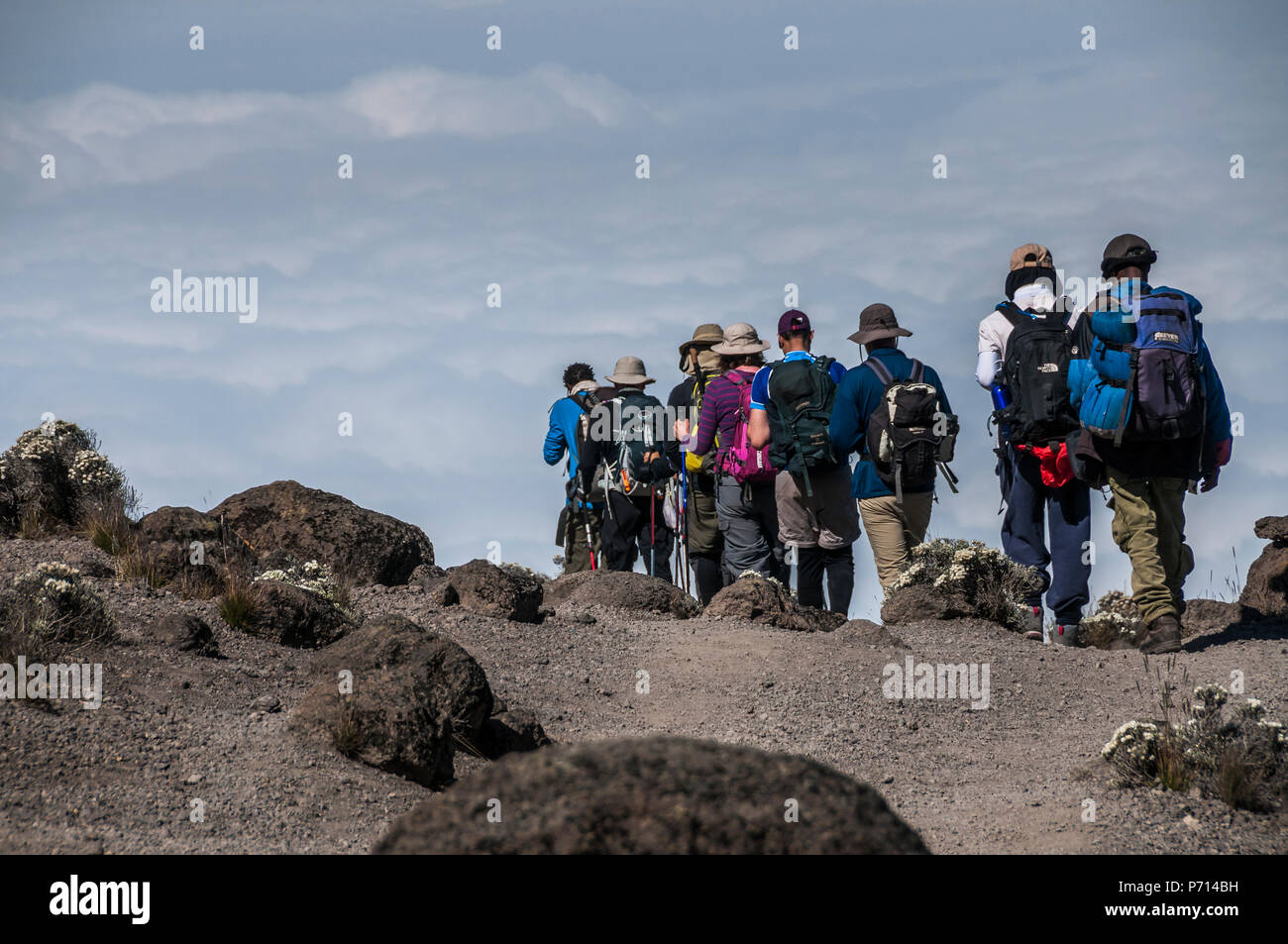 Eine Gruppe von Wanderern auf der Machame Route auf den Kilimanjaro in Richtung Wolken, Tansania, Ostafrika, Südafrika Stockfoto