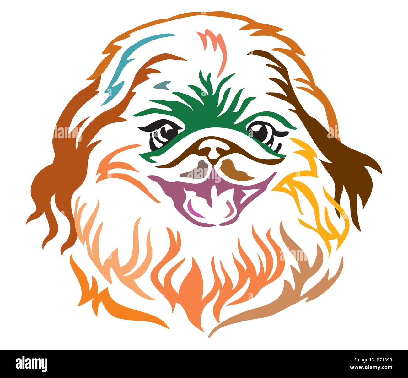 Bunt dekorativ Portrait von Dog Pekingese, Vector Illustration in verschiedenen Farben auf weißem Hintergrund. Bild für Design und Tattoo. Stock Vektor